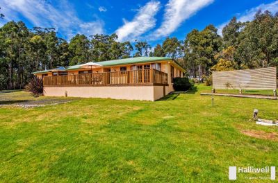 153 Tugrah Road, Stony Rise, Stony Rise - Thumbnail 3