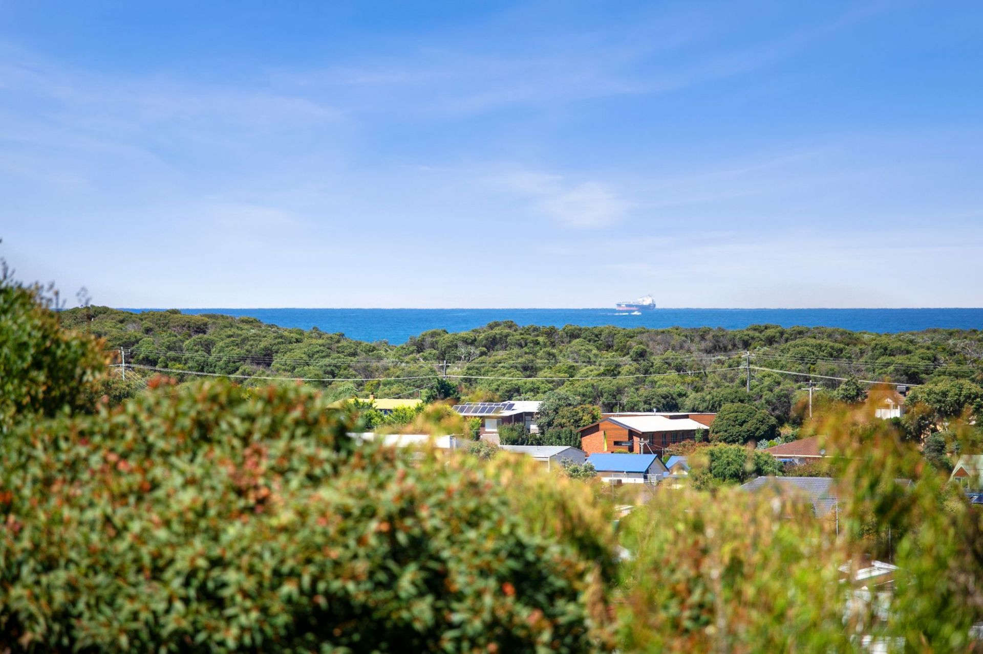 38 Halibut Avenue Ocean Grove VIC, Ocean Grove - Thumbnail 4