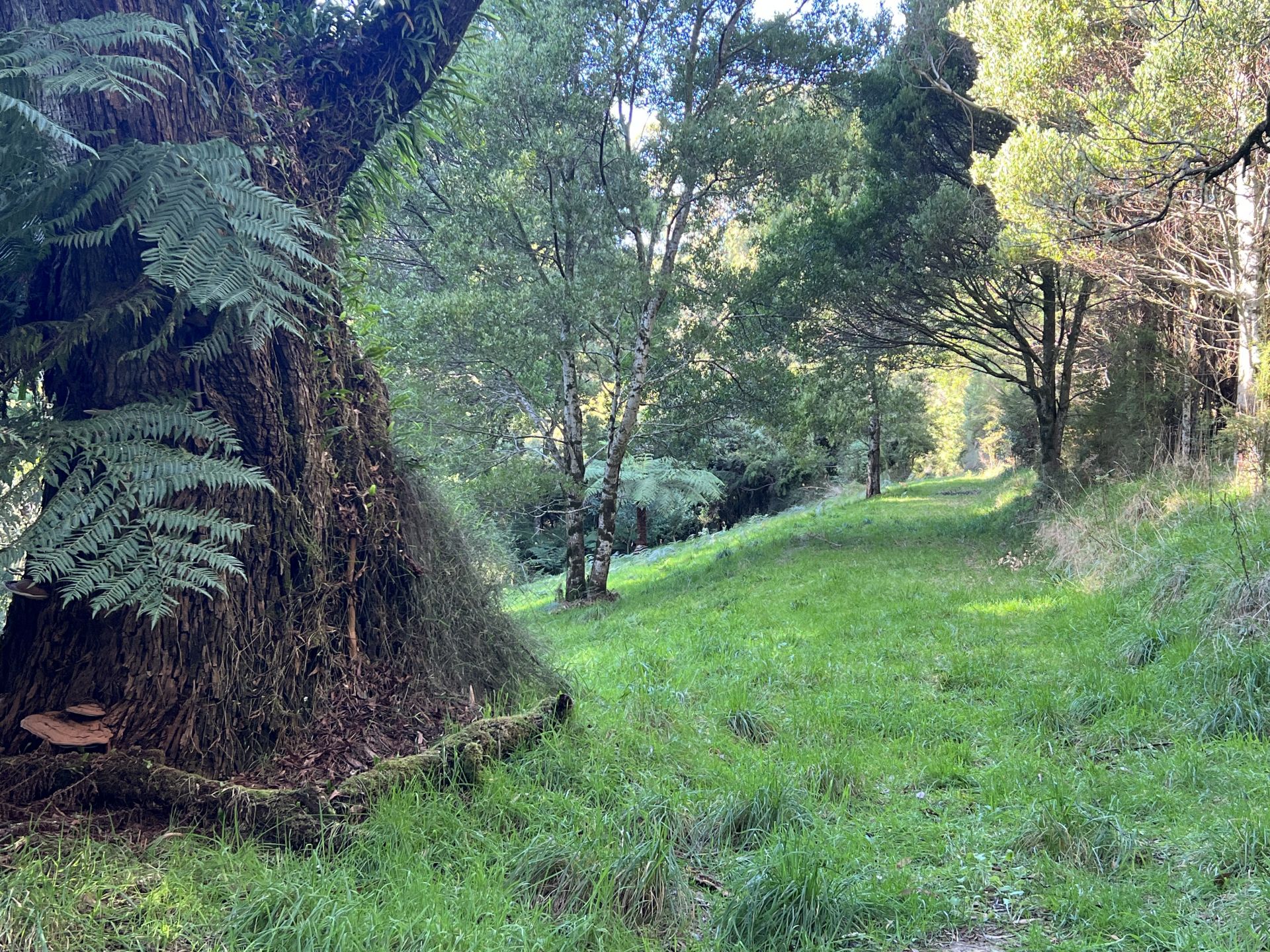 Lot 2/56-58 Broughtons Access, Skenes Creek North - Thumbnail 5
