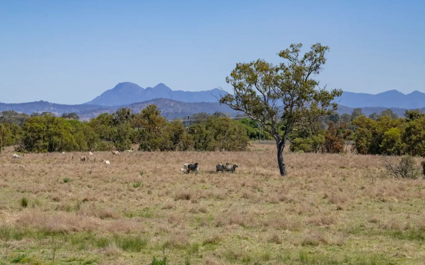 Real Estate For Sale 65 Helen Street Beaudesert , QLD
