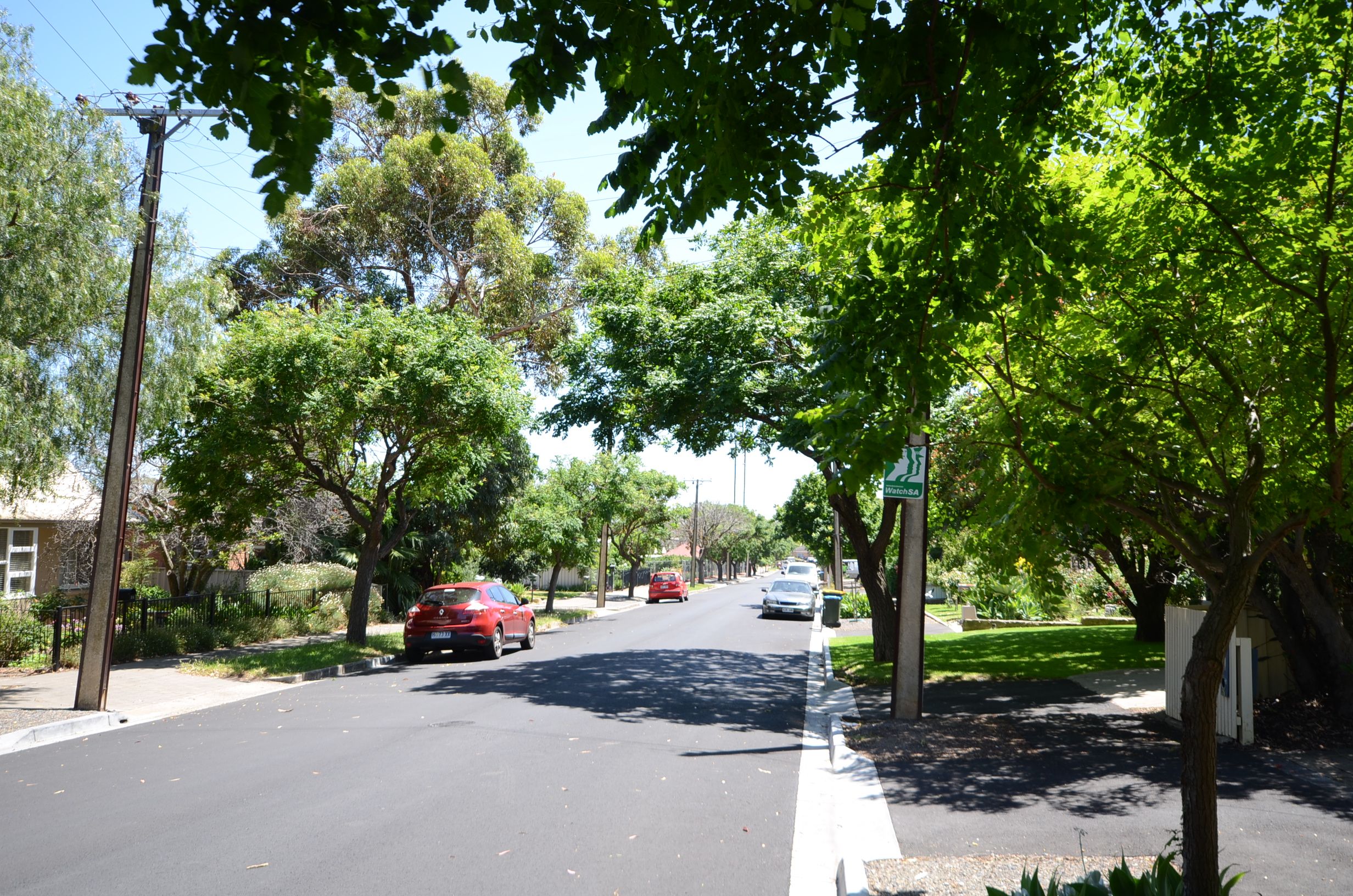 19 Ontario Ave, Panorama SA 5041