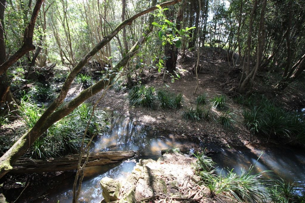 449 Bril Bril Road, ROLLANDS PLAINS NSW 2441