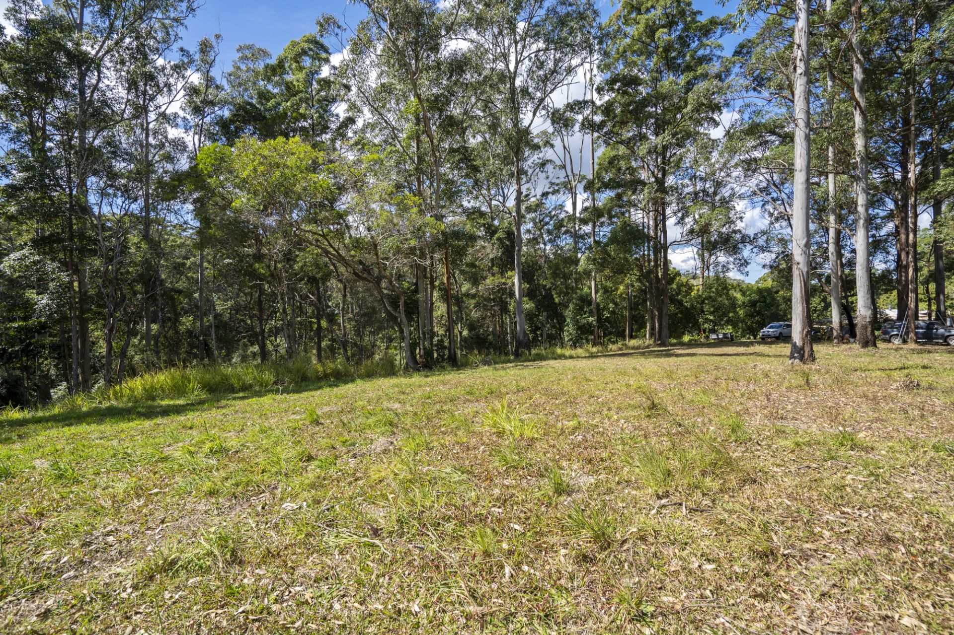 822 Cooloolabin Road Cooloolabin QLD, Cooloolabin - Thumbnail 6