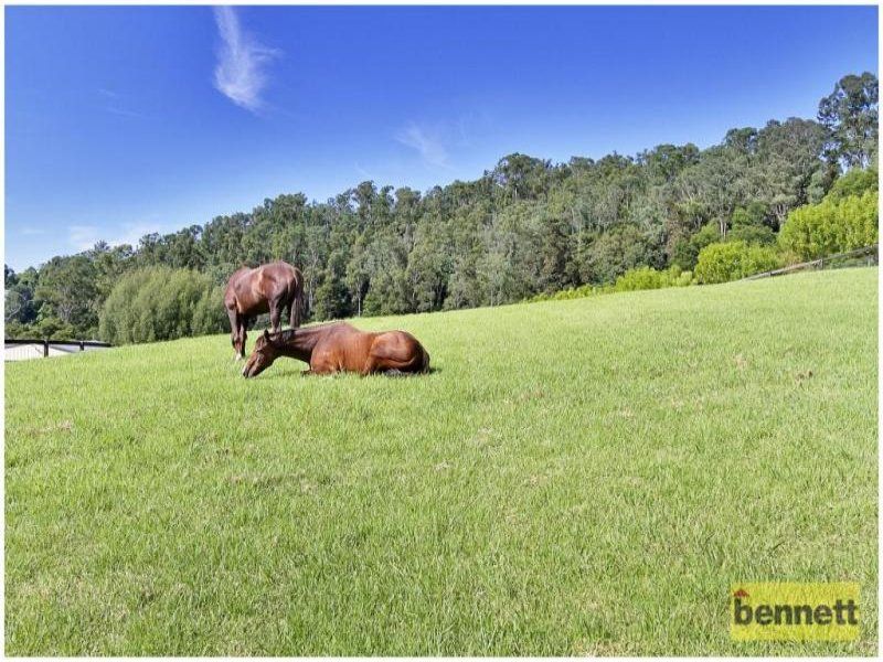 83A Willow Glen Road, Kurrajong - Thumbnail 3