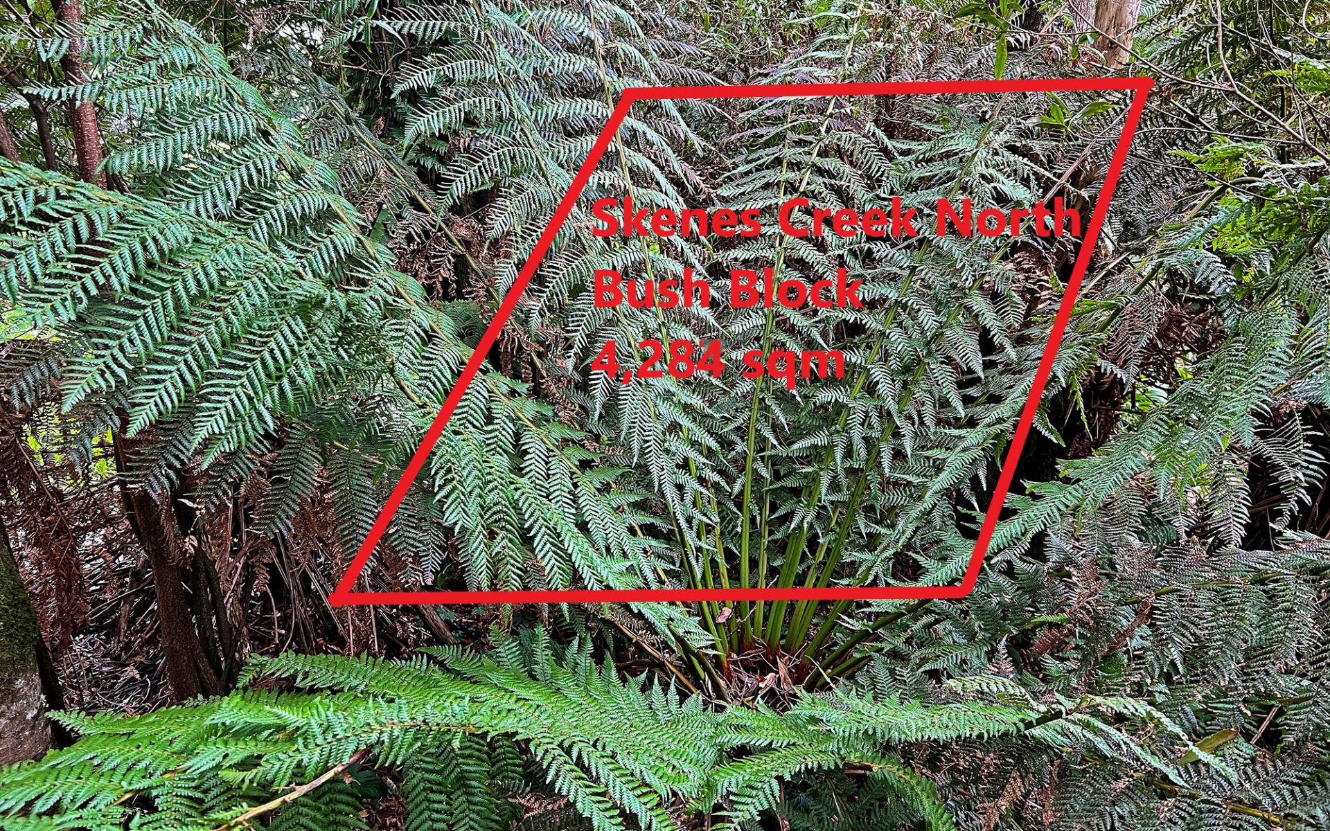 lot 1/56-58 Broughtons Access, Skenes Creek North - Thumbnail 2