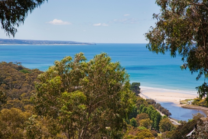 1/17 Toorak Terrace, Lorne, VIC, Lorne - Thumbnail 2