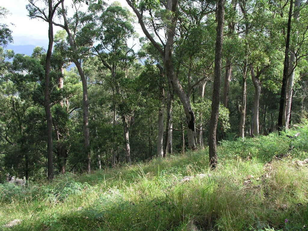 Lot 204 Misty Vale Way, HOLLISDALE NSW 2446