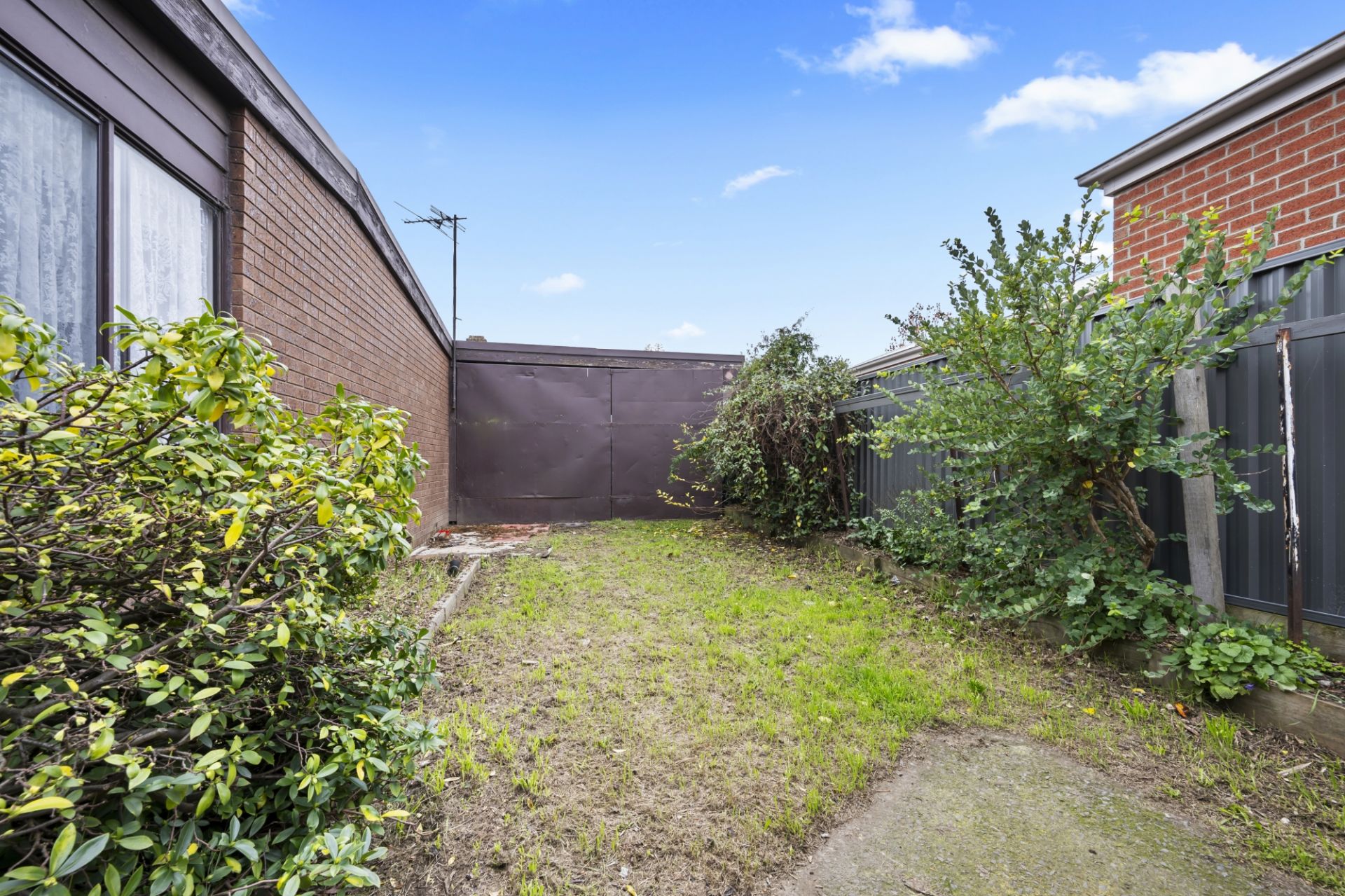 97 Grant Street, Sebastopol, Sebastopol - Thumbnail 3