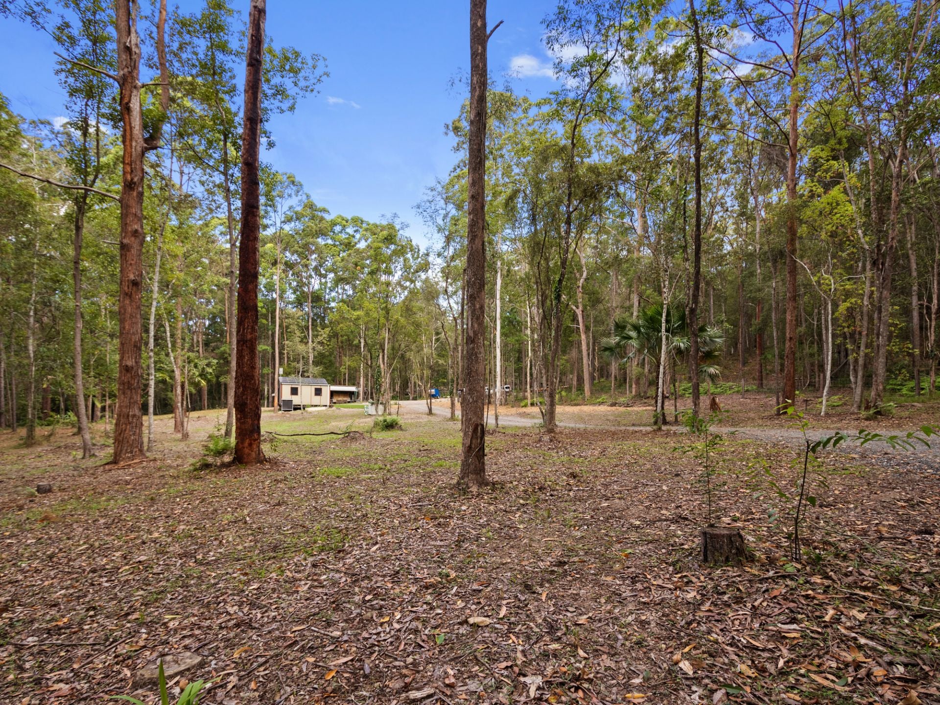 Yandina, Yandina - Thumbnail 8