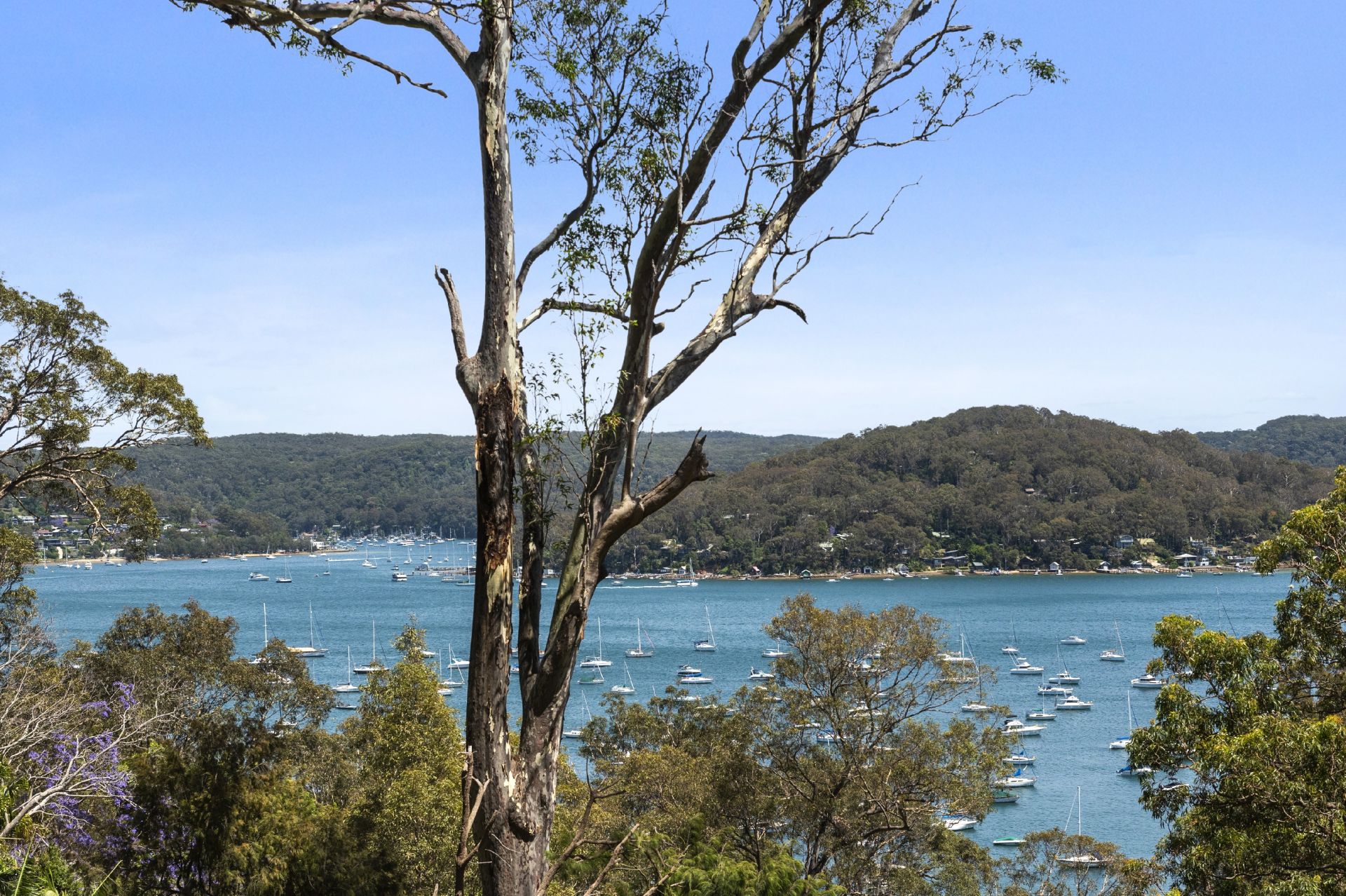 5 Loombah Street Bilgola Plateau NSW 2107, Bilgola Plateau - Thumbnail 6