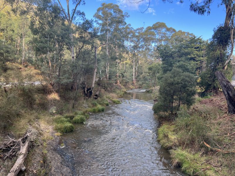 Real Estate For Sale 37 Long Gully Road Flowerdale , VIC