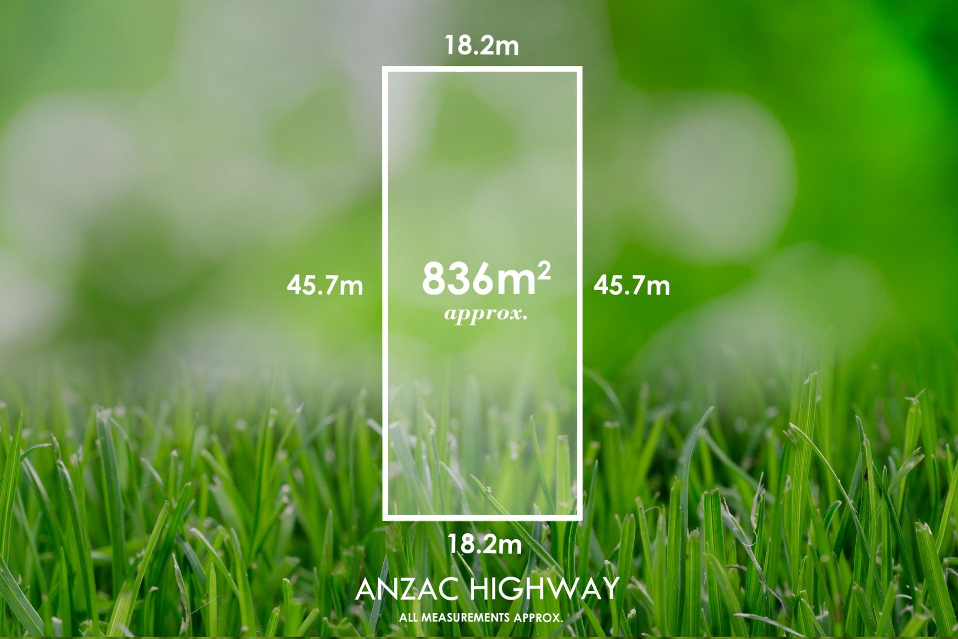 66 Anzac Highway, Everard Park - Thumbnail 2