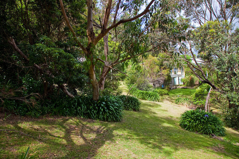 8 Mitchell Grove, Separation Creek, VIC, Separation Creek - Thumbnail 6
