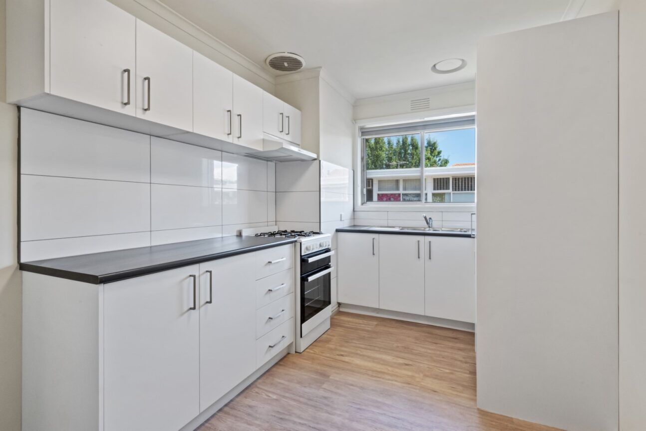 RENOVATED DELIGHT