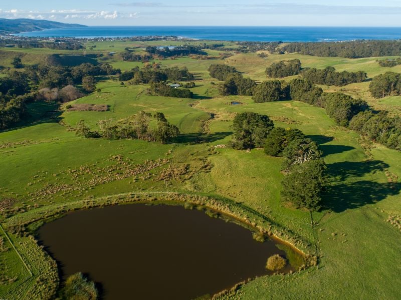 313 Barham River Road, Apollo Bay, VIC, Apollo Bay - Thumbnail 3