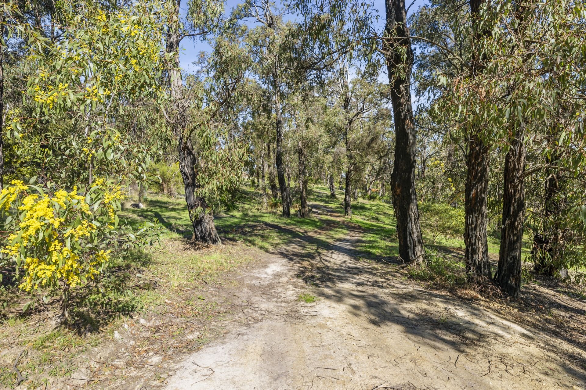 Real Estate For Sale 49 Hopkins Street Aireys Inlet , VIC