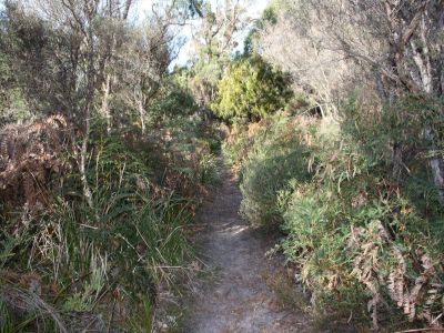 117 Panatana Drive, PORT SORELL, Port Sorell - Thumbnail 6