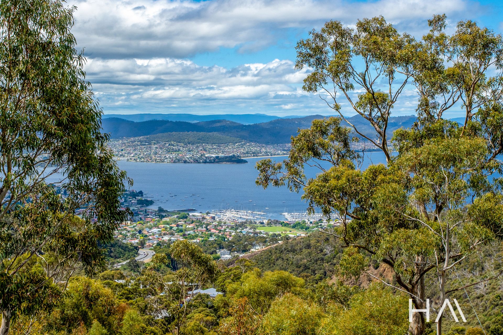 31 Hillcrest Road, Tolmans Hill Harrison Agents