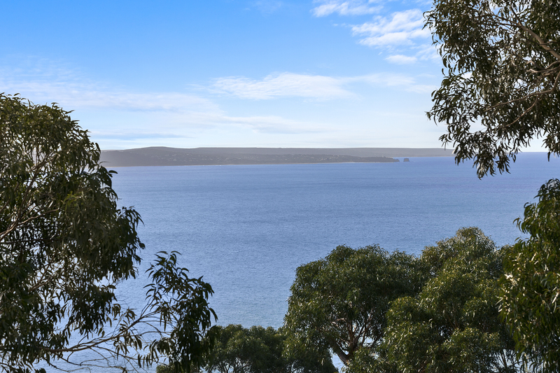 17-19 Wallace Street, Lorne, VIC, Lorne - Thumbnail 2