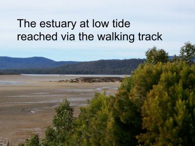 PORT SORELL, PORT SORELL, Port Sorell - Thumbnail 4