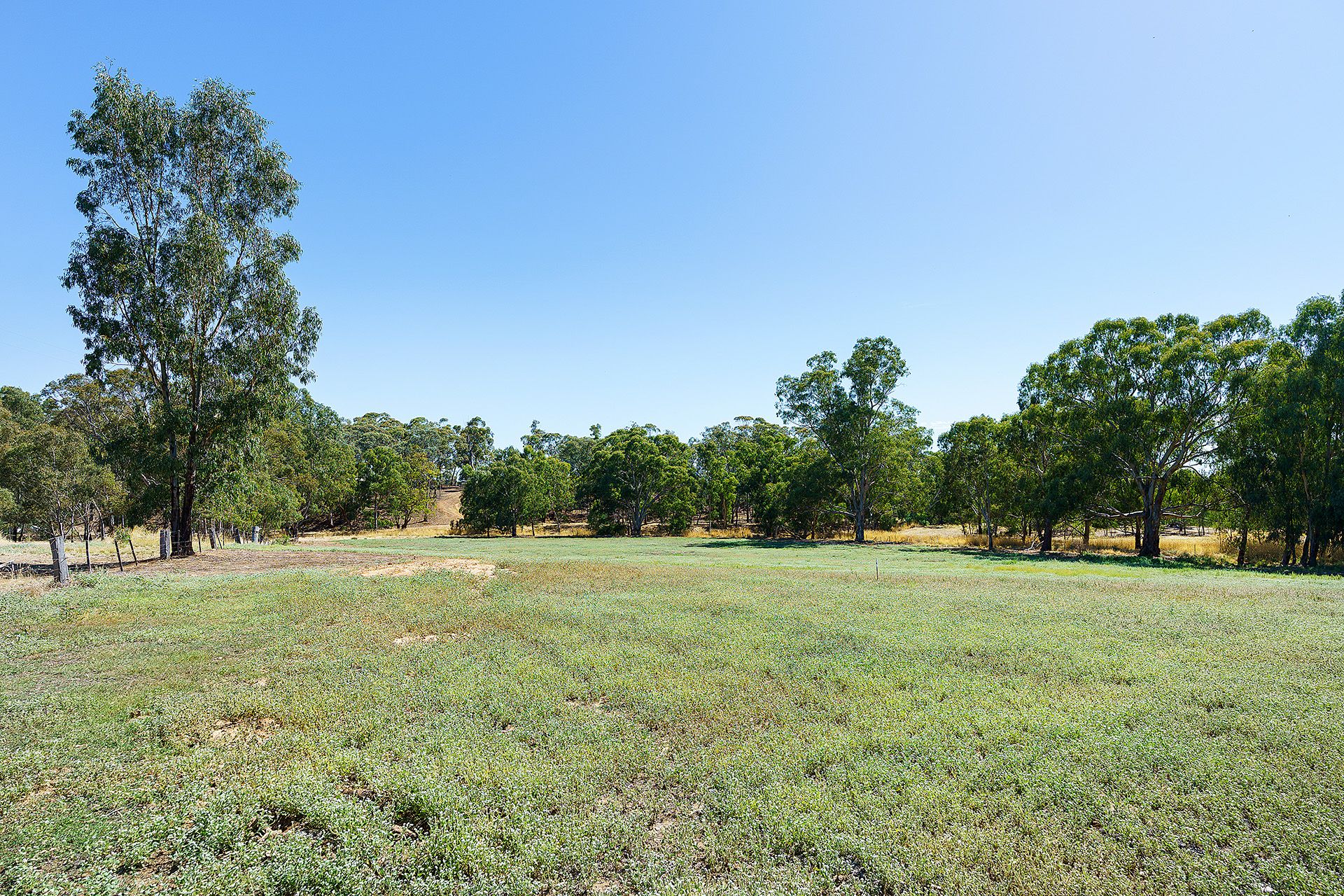 20 Ross Drive, Castlemaine - Thumbnail 4