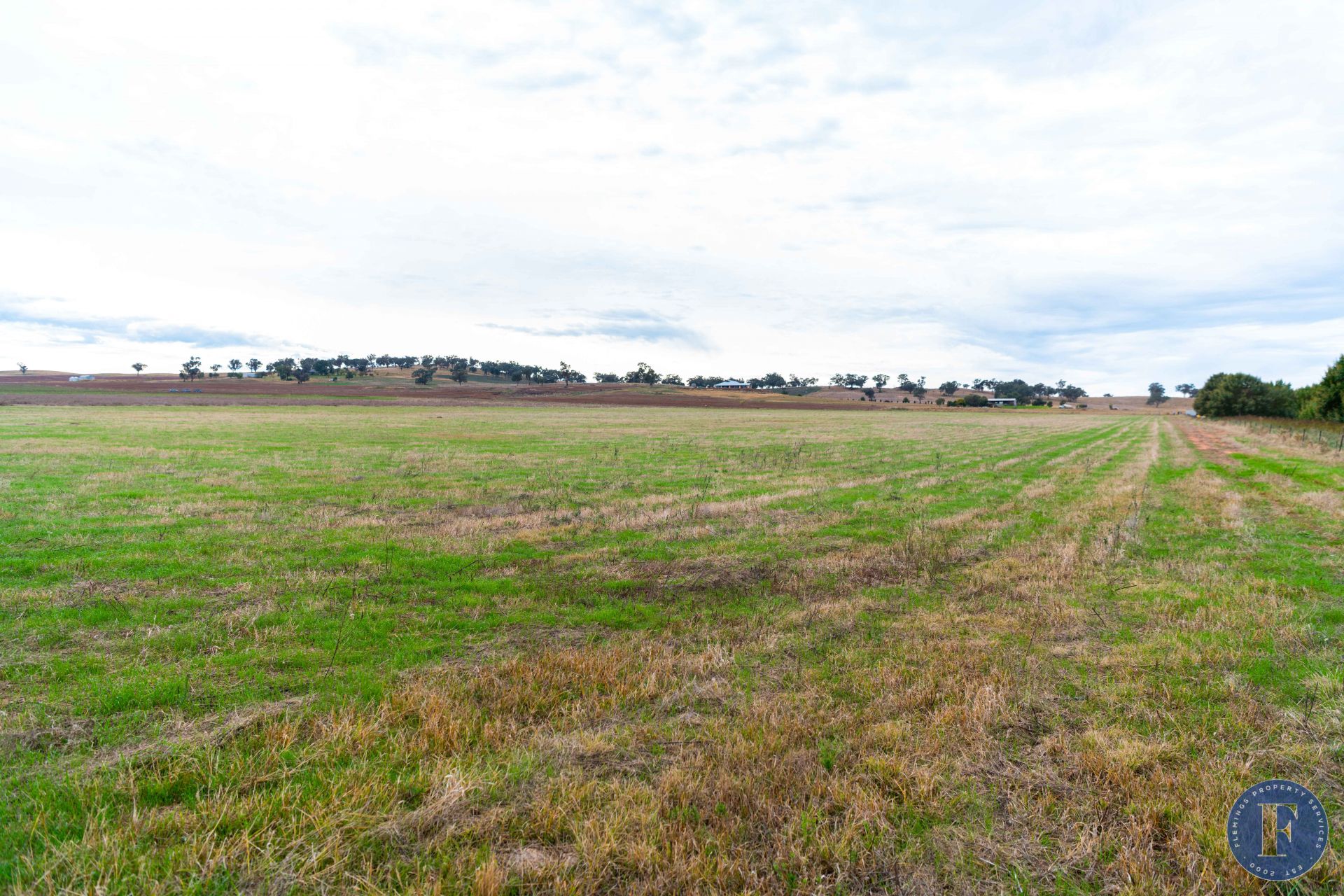 Lot 3 Tilga Street, Canowindra NSW, Canowindra - Thumbnail 8