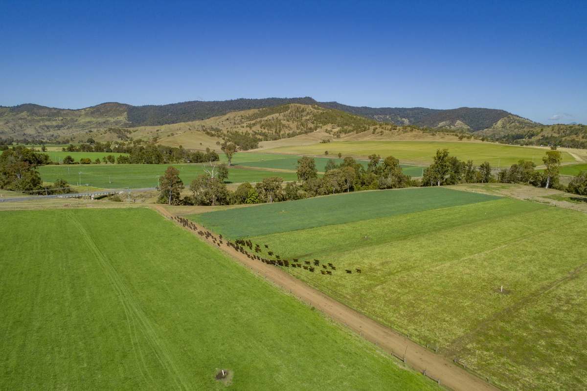 Real Estate For Sale 1179 Running Creek Road Running Creek , QLD