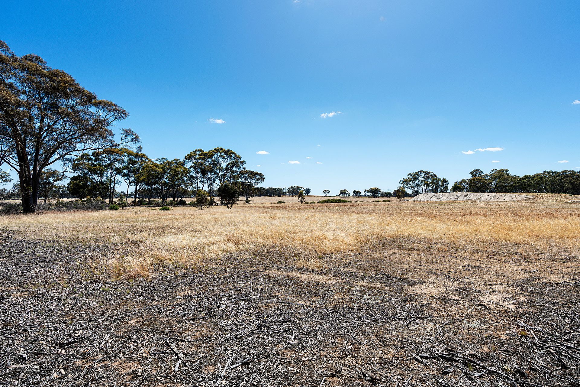 Lot 5, 58 Main Street Eldorado, Harcourt - Thumbnail 3