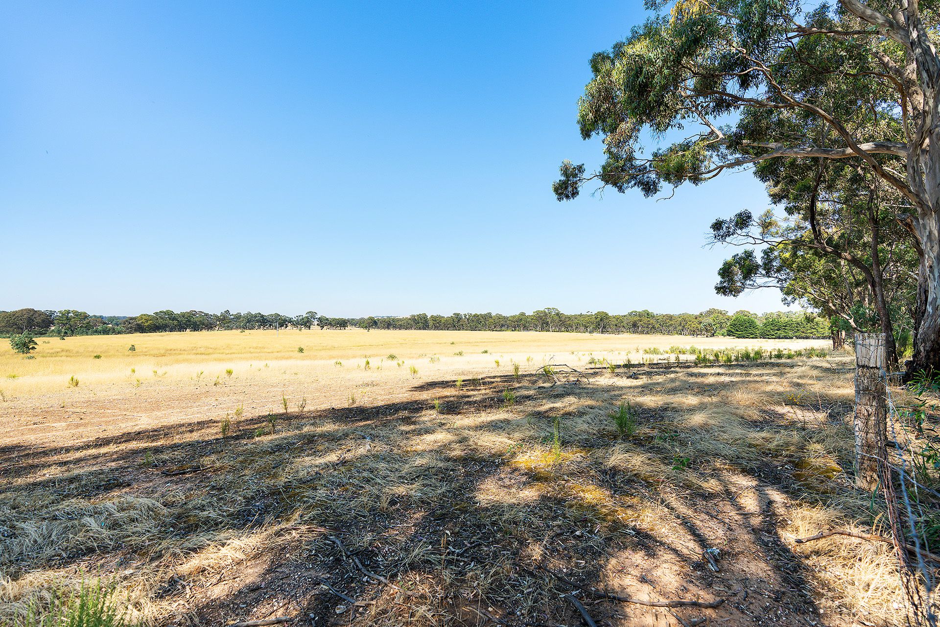 20 Ross Drive, Castlemaine - Thumbnail 5
