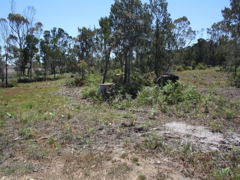1 Rubicon Rise, Northdown, Northdown - Thumbnail 7