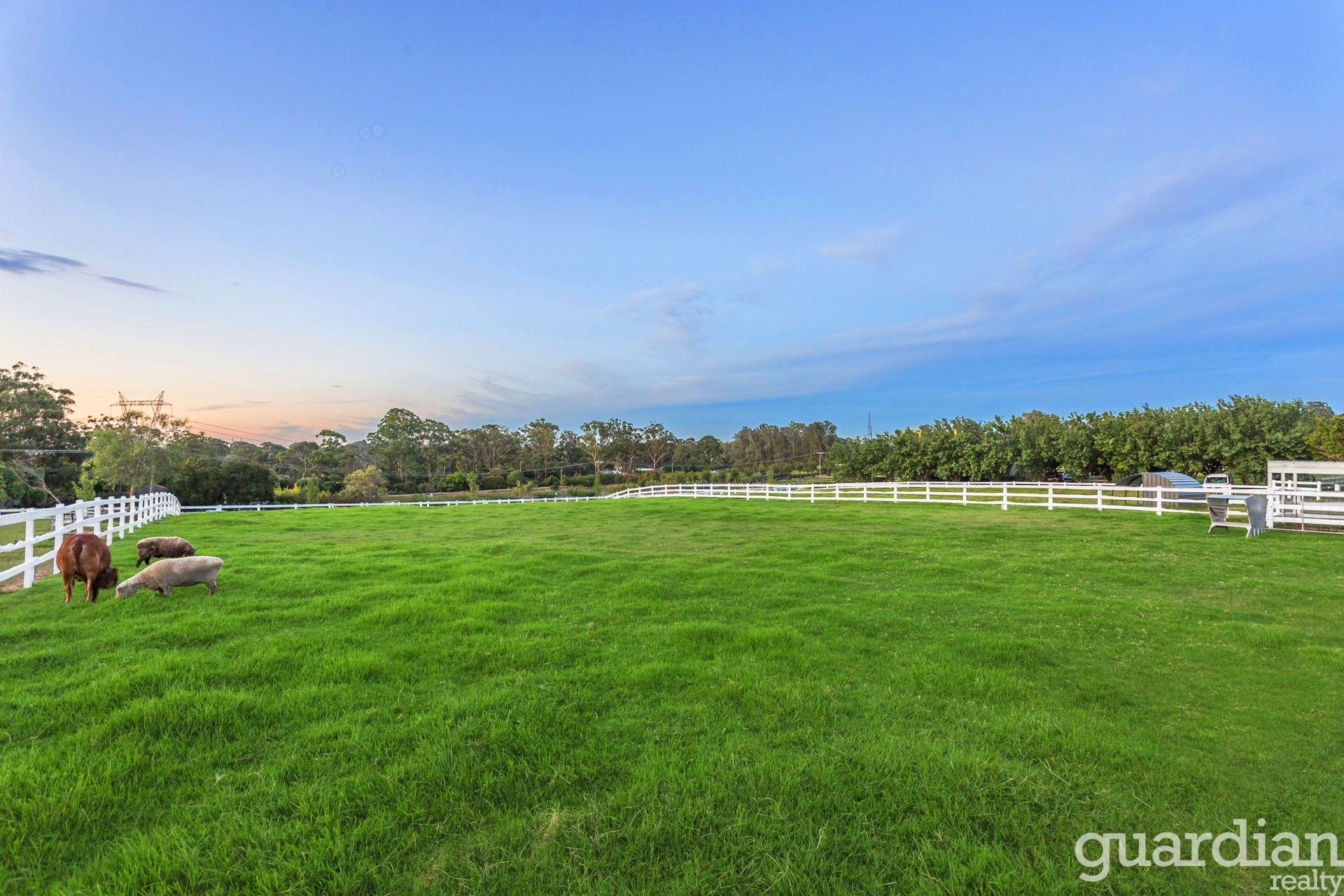 1 Dural Downs Way Dural NSW, Dural - Thumbnail 5