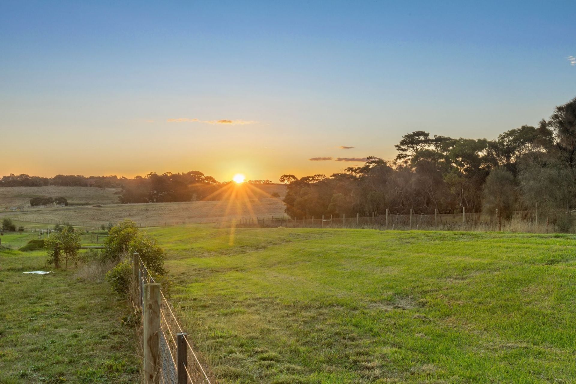 10-11 Alfred Court Ocean Grove VIC, Ocean Grove - Thumbnail 6