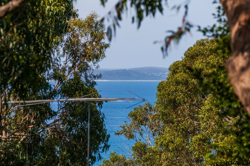 71 George Street, Lorne, VIC, Lorne - Thumbnail 6