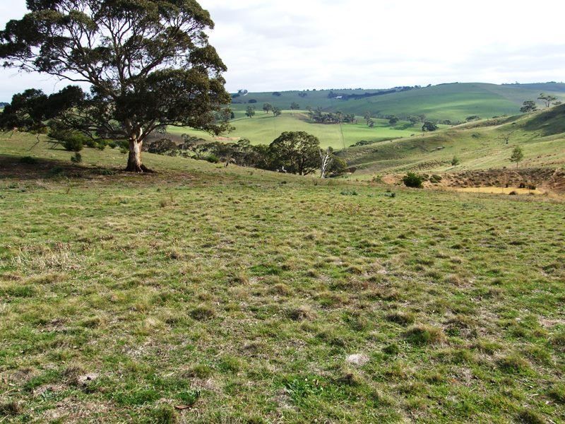 529 Swans Road, Bacchus Marsh - Thumbnail 3