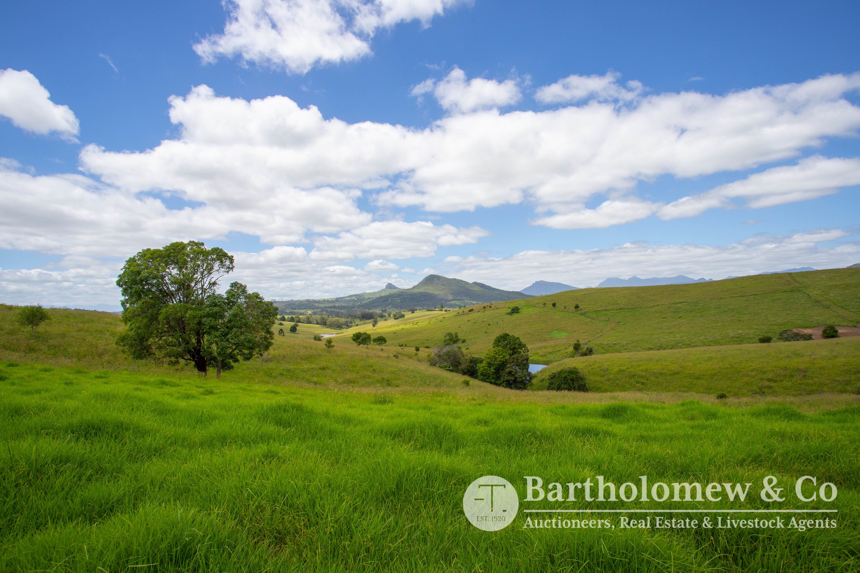 Real Estate For Sale 390 Cannon Creek Road Cannon Creek , QLD