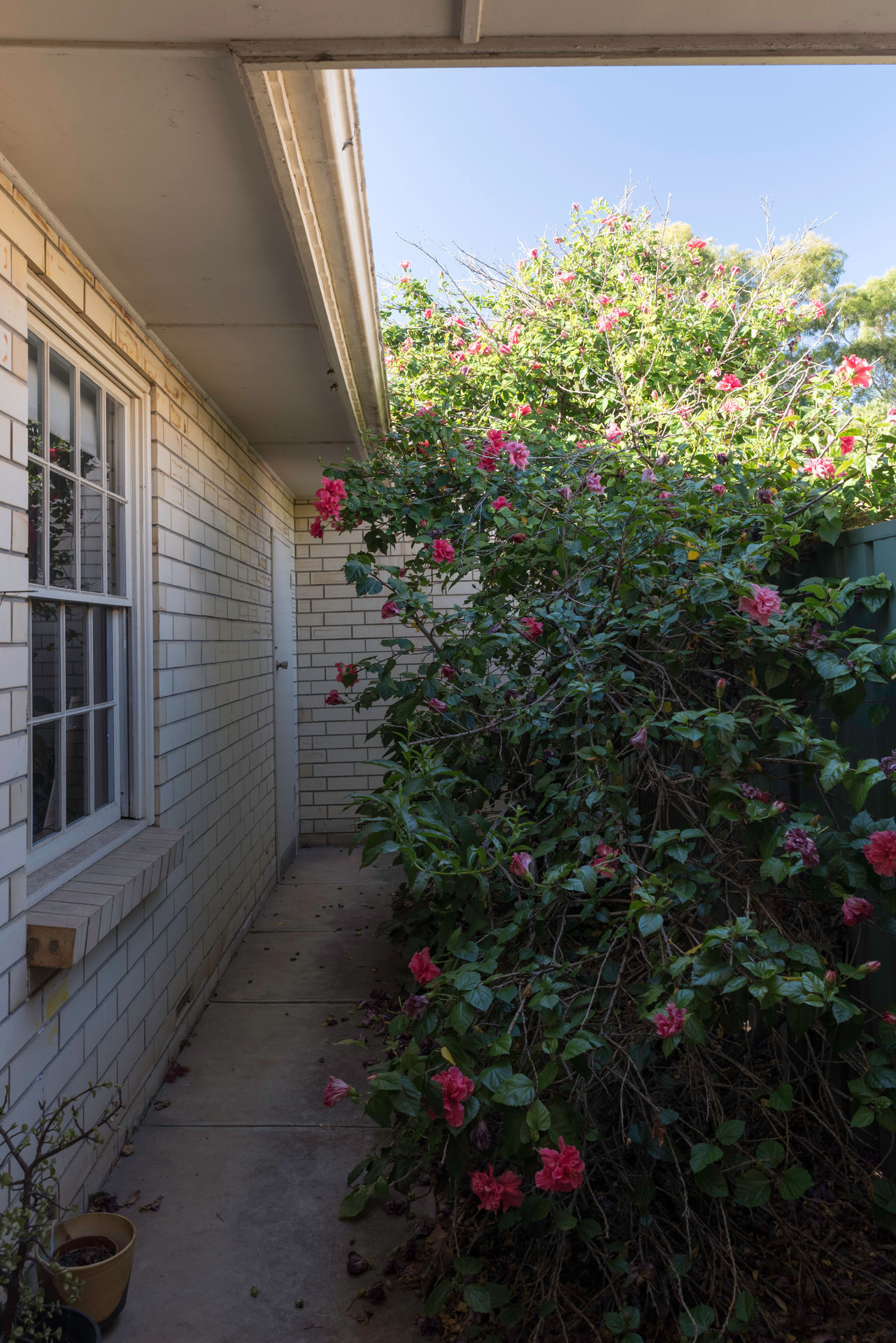 2/56 Northcote Tce Gilberton 5081