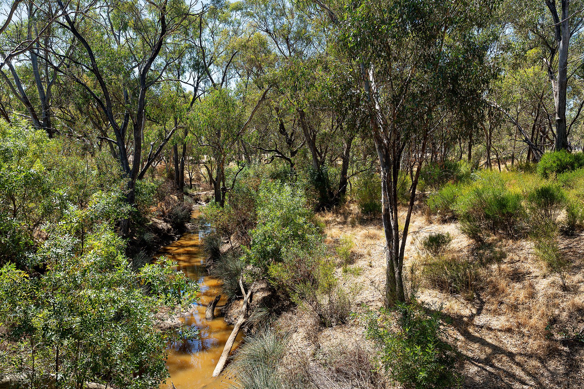 20 Ross Drive, Castlemaine - Thumbnail 4