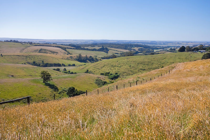 480 Pennyroyal-Wymbooliel Road Pennyroyal VIC, Pennyroyal - Thumbnail 2
