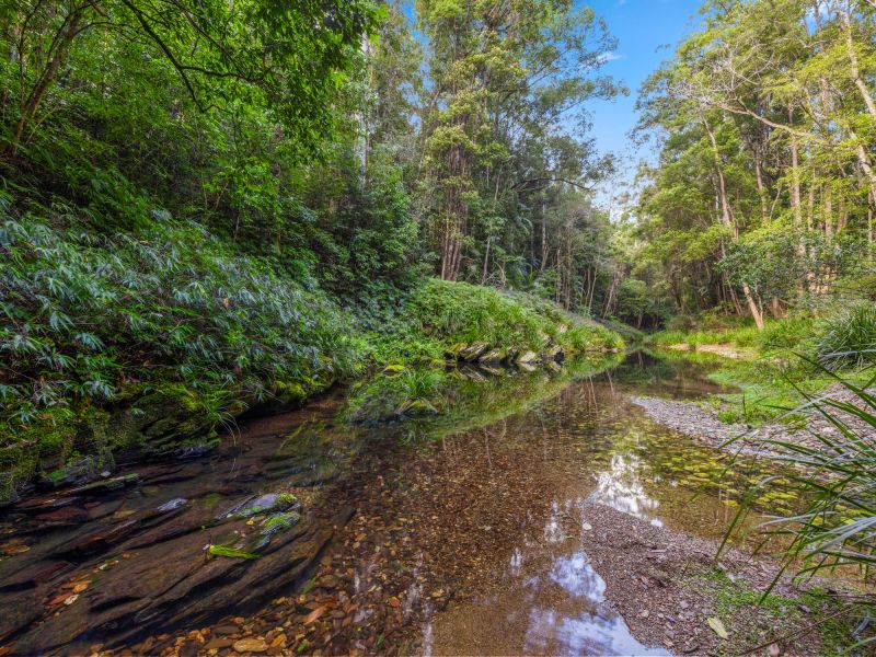 1.5km Kalang River frontage with a Cabin