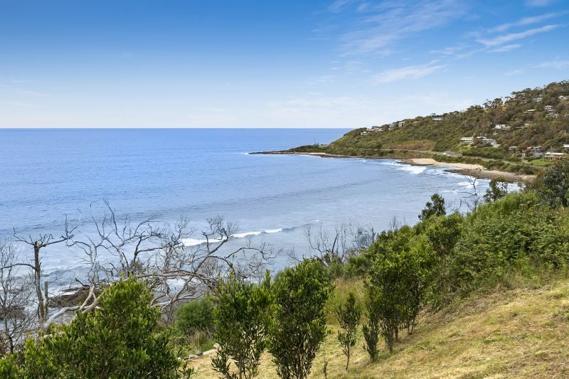 18 Iluka Avenue, Wye River, VIC, Wye River - Thumbnail 5
