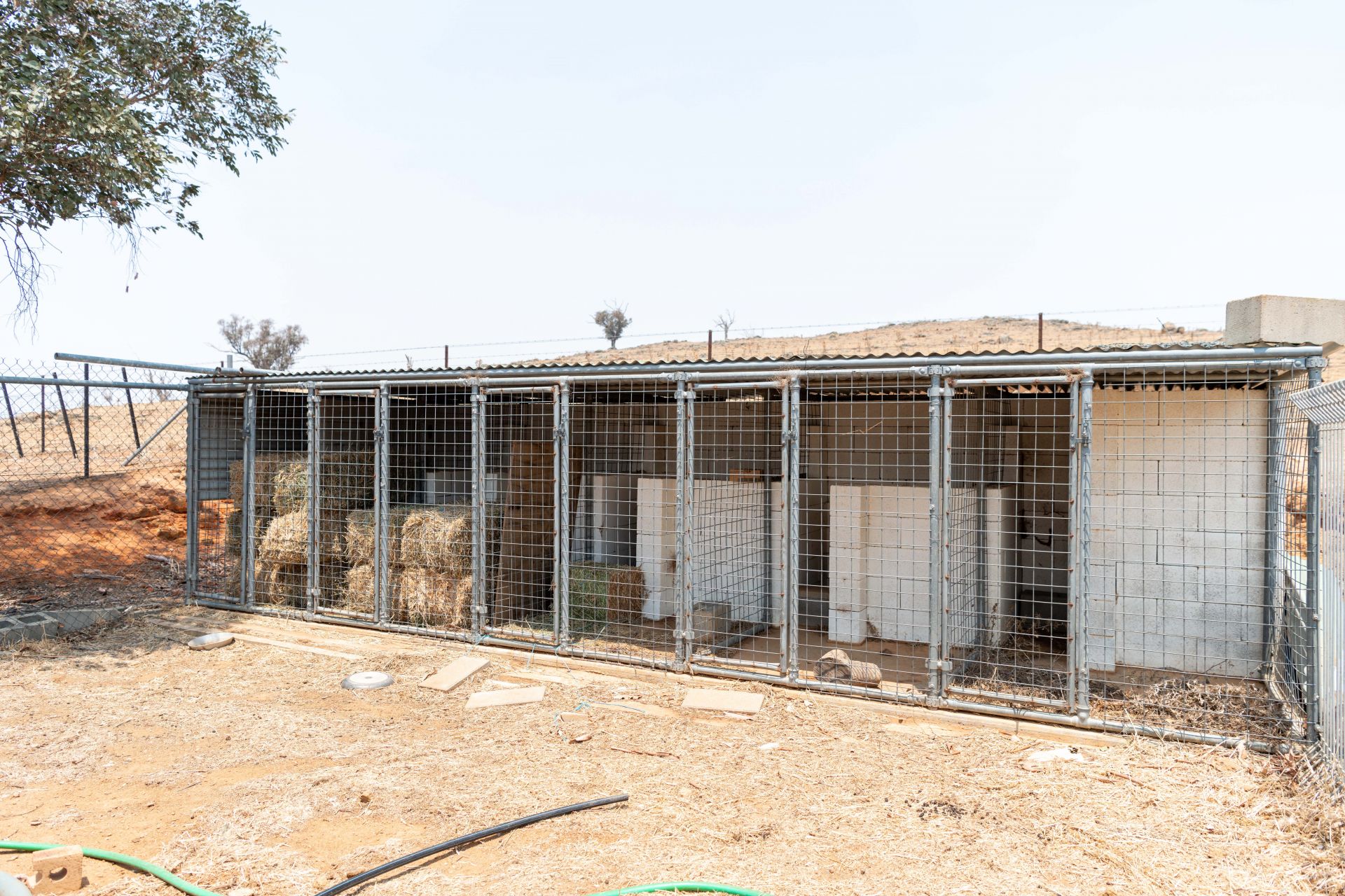 434 Brial Road, Boorowa NSW, Boorowa - Thumbnail 4