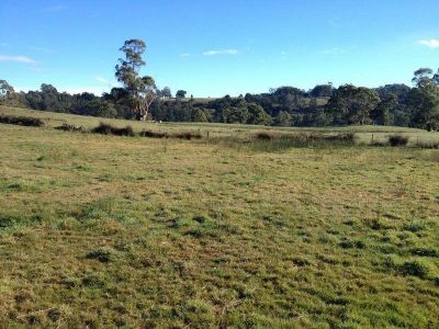 Lakeside Drive, ACACIA HILLS, Acacia Hills - Thumbnail 4