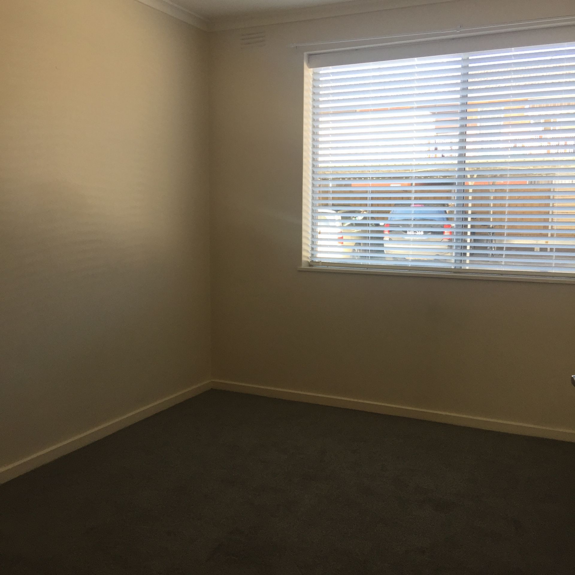Bright, renovated apartment!
