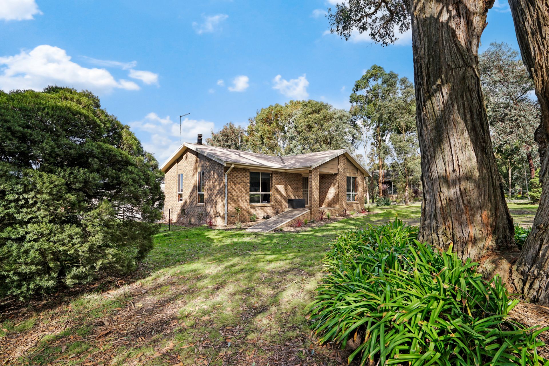 49 James Court Smythes Creek VIC, Smythes Creek - Thumbnail 3