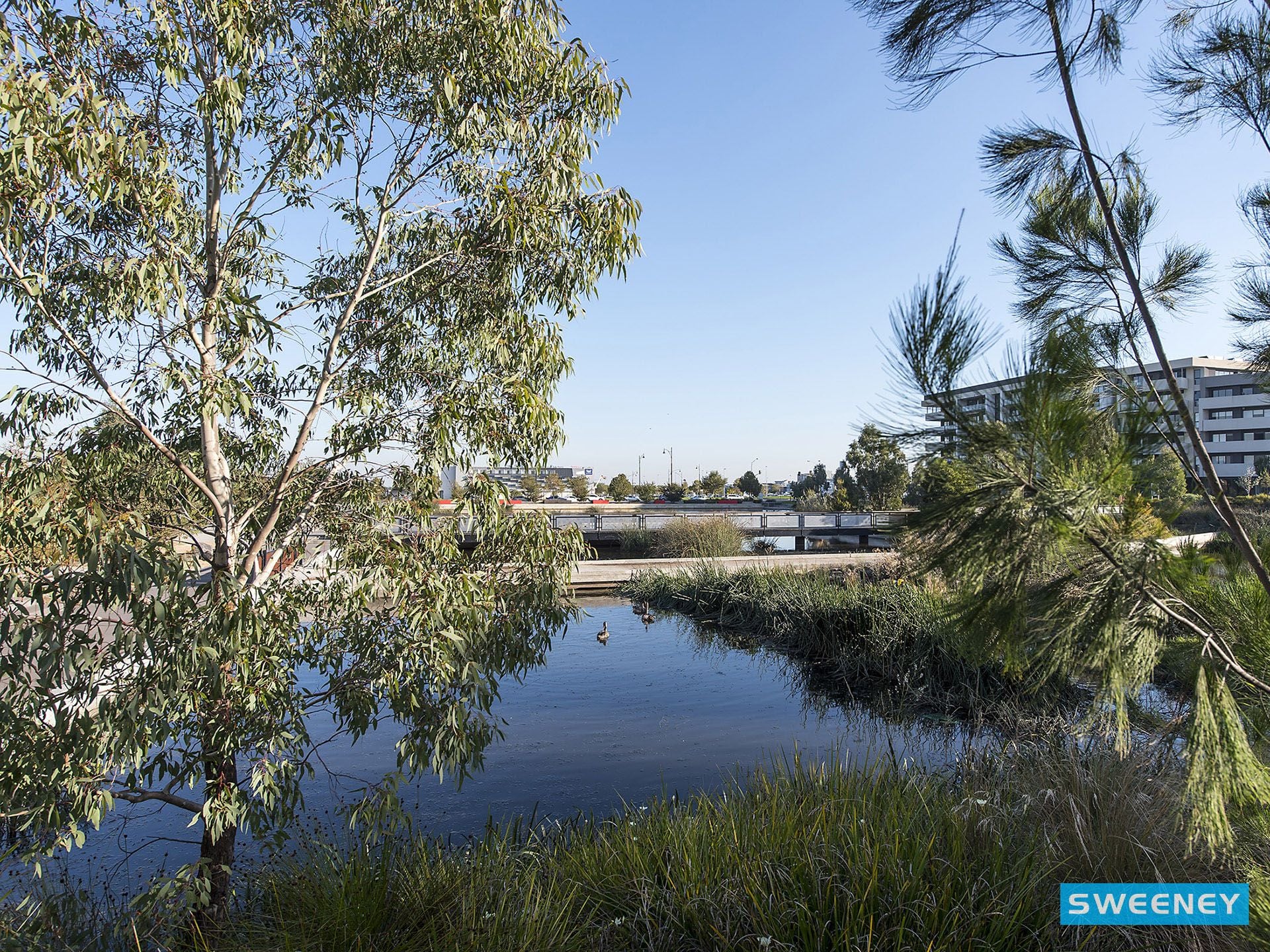 20 Maranoa Grove, Caroline Springs - Thumbnail 4
