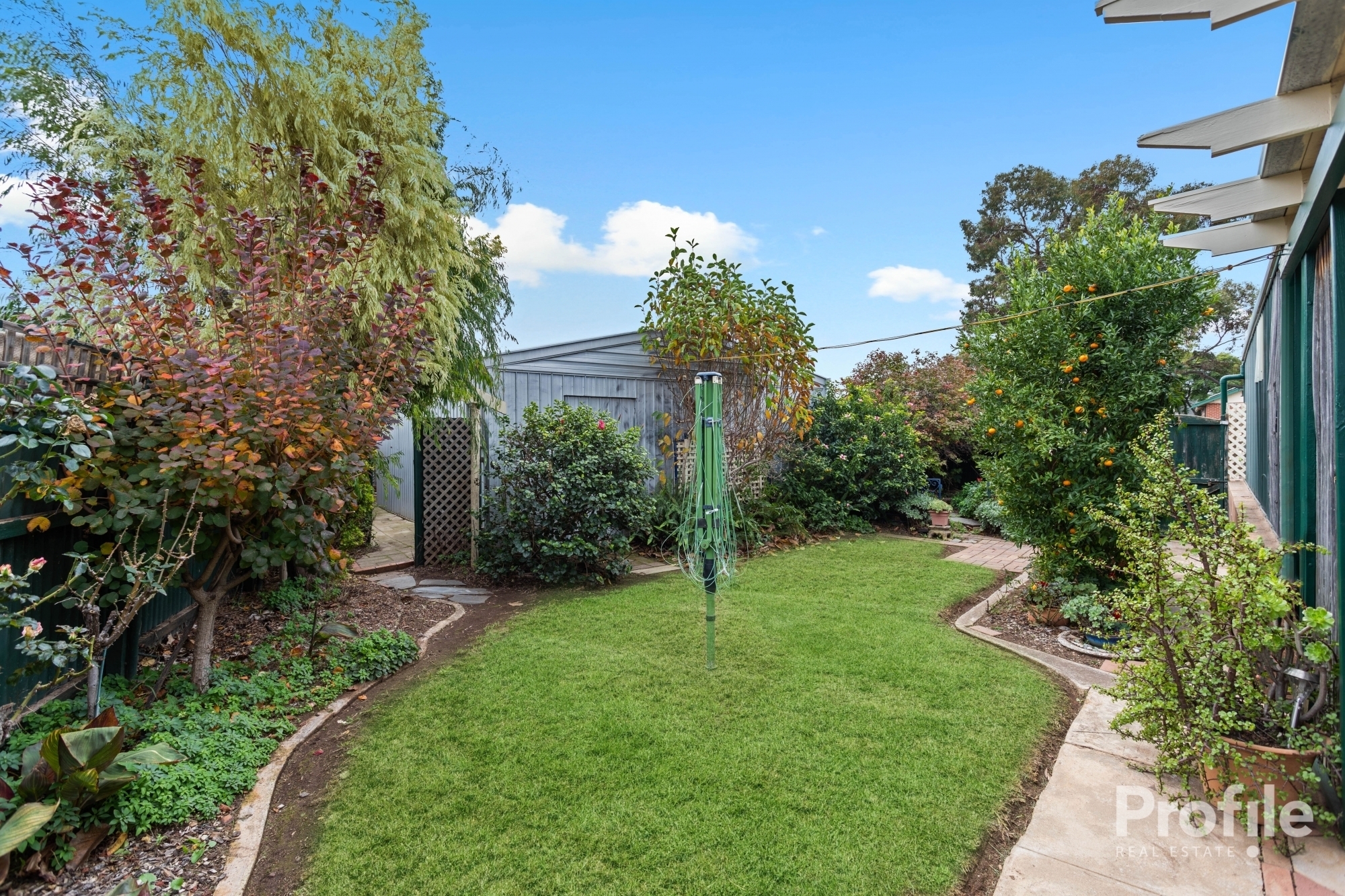 10 Coombe Road Allenby Gardens 5009