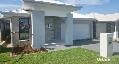 Catherine Field, Lot 6220, Whitrod Avenue