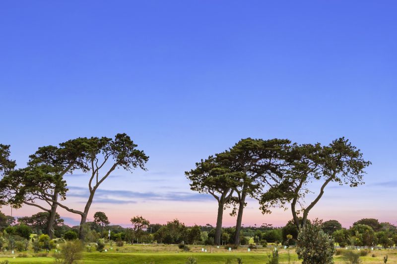 3/15 Plantation Drive, Barwon Heads., Barwon Heads - Thumbnail 6