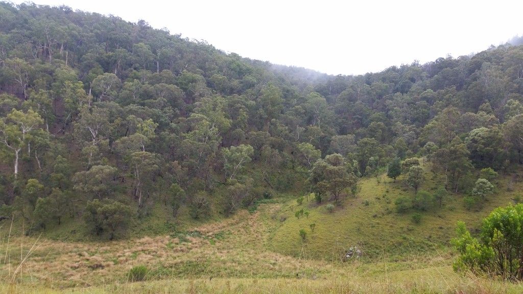 1715 Kangaroo Flat Road, YARROWITCH NSW 2354