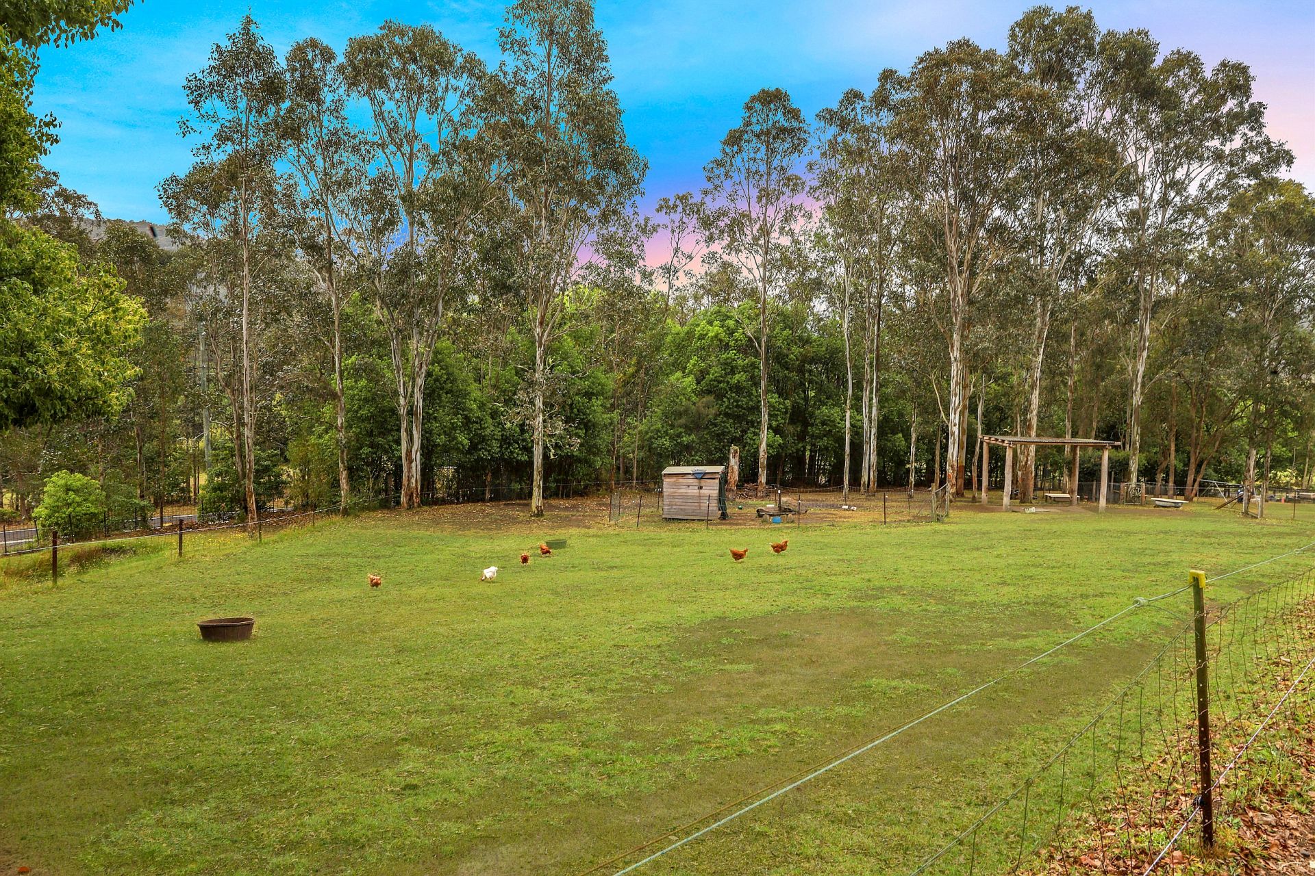 Real Estate For Sale 1380 Yarramalong Road Wyong Creek , NSW